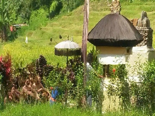 Dasa Vayu Cottage image 3